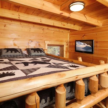 Smoky Vista Lodge سيفيرفيل المظهر الخارجي الصورة