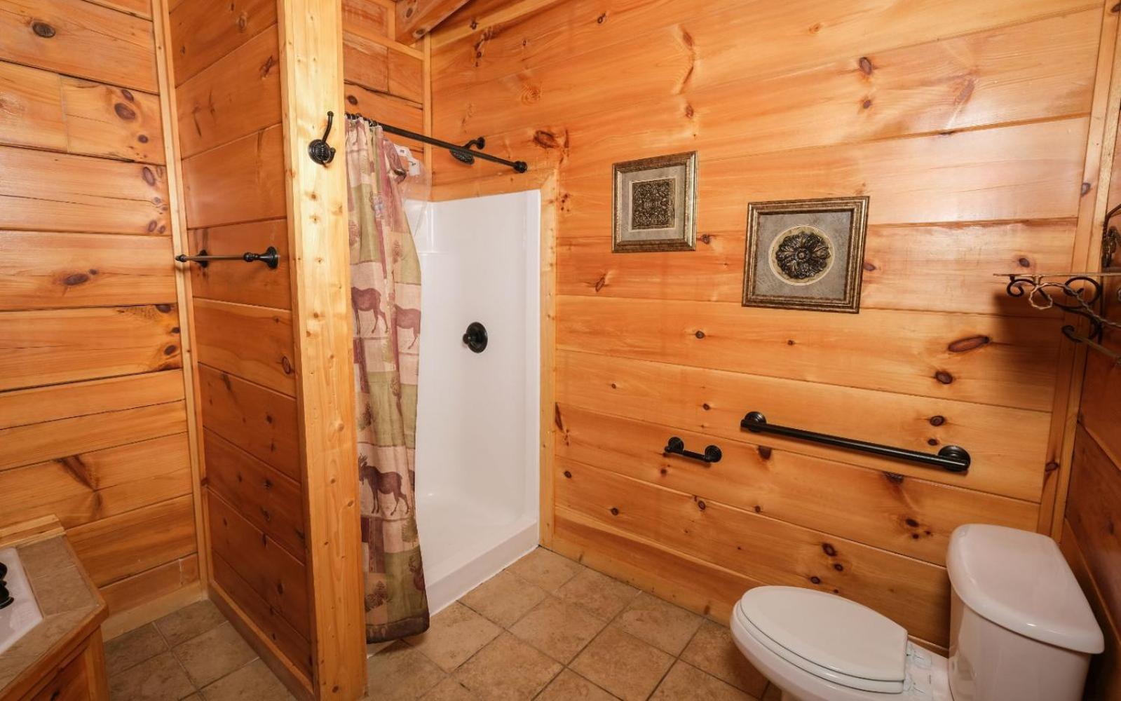 Smoky Vista Lodge سيفيرفيل المظهر الخارجي الصورة